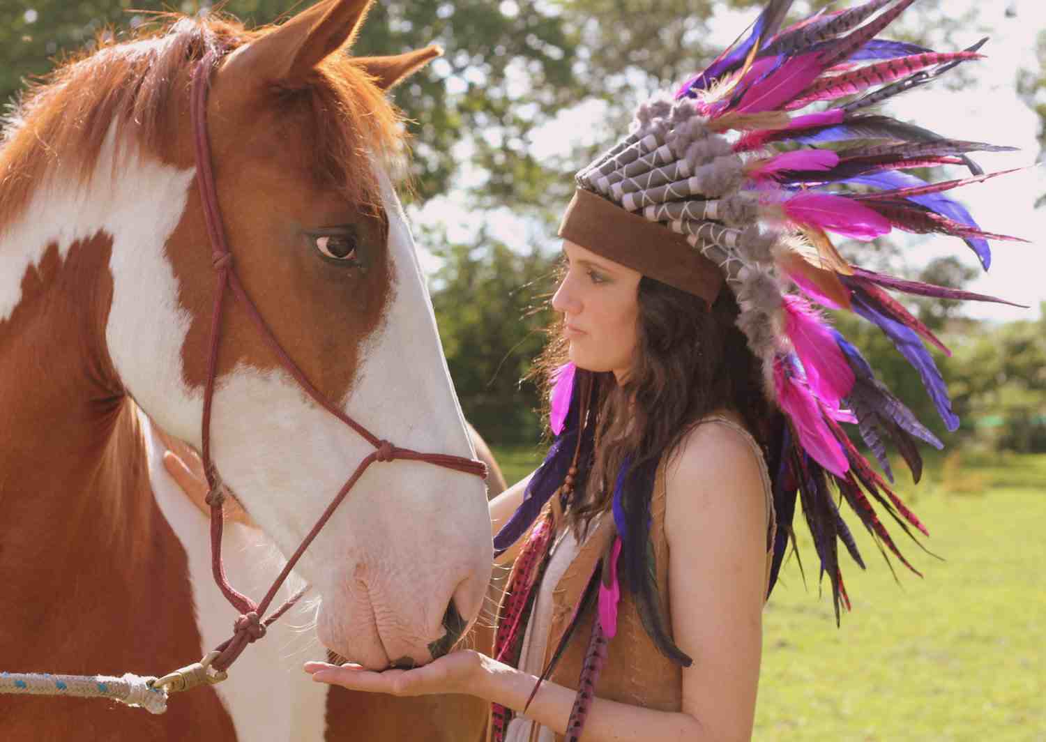 Rouge Pony Indian