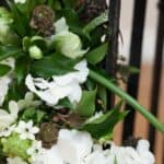 A Dark & Dramatic Black Swan Styled Shoot - Img