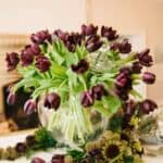 A Dark & Dramatic Black Swan Styled Shoot - Img