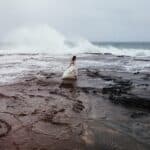 Fire Meets Water - Mg Edit