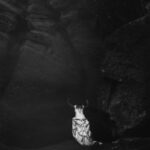 Fire Meets Water - Mg Edit