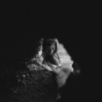 Fire Meets Water - Mg