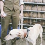 A Handmade Homegrown Wedding by Steam Train: Sam & Juliet - Sam Jules Blog