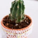 A Latin Inspired Beach Wedding: Jessabelle & Angel - Segundo Valle Kates Captures Photography Kcp Low