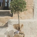 A Locally Sourced Wedding with a Surprise Pregnancy, the Saronic Gulf of Greece - Anna & Philipp - Anna Filipp Anna Roussos Ceremony Low