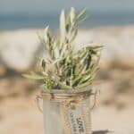 A Locally Sourced Wedding with a Surprise Pregnancy, the Saronic Gulf of Greece - Anna & Philipp - Anna Filipp Anna Roussos Ceremony Low