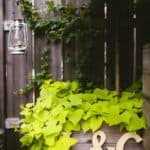 A Creative DIY Wedding in Brooklyn: Lynsey & Carl - Lynsey And Carl Brooklyn Wedding