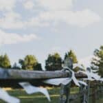 A Family Fun, DIY Backyard Wedding: Anna & Chris - Saunders Dover Tesar Photography Nc Ca A Low