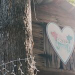 A Family Fun, DIY Backyard Wedding: Anna & Chris - Saunders Dover Tesar Photography Nc Ca A Low