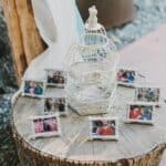 A Family Fun, DIY Backyard Wedding: Anna & Chris - Saunders Dover Tesar Photography Nc Ca Fc A Low