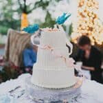 A Family Fun, DIY Backyard Wedding: Anna & Chris - Saunders Dover Tesar Photography Nc Ca Fc A Low