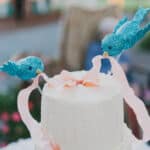 A Family Fun, DIY Backyard Wedding: Anna & Chris - Saunders Dover Tesar Photography Nc Ca Fc A Low