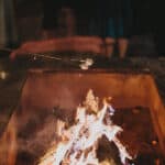 A Family Fun, DIY Backyard Wedding: Anna & Chris - Saunders Dover Tesar Photography Nc Ca A Low