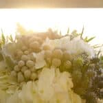 A Shabby Chic Champagne Brunch Wedding: Jeannine & Gib - Thibaut Shellenberger Lizard Nickel Photography Gibjeannine Low