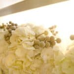 A Shabby Chic Champagne Brunch Wedding: Jeannine & Gib - Thibaut Shellenberger Lizard Nickel Photography Gibjeannine Low