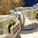 A Shabby Chic Champagne Brunch Wedding: Jeannine & Gib - Thibaut Shellenberger Lizard Nickel Photography Gibjeannine Low