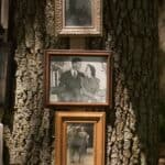 A Shabby Chic Champagne Brunch Wedding: Jeannine & Gib - Thibaut Shellenberger Lizard Nickel Photography Gibjeannine Low