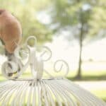 A Shabby Chic Champagne Brunch Wedding: Jeannine & Gib - Thibaut Shellenberger Lizard Nickel Photography Gibjeannine Low