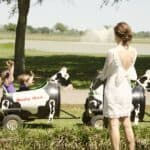 A Shabby Chic Champagne Brunch Wedding: Jeannine & Gib - Thibaut Shellenberger Lizard Nickel Photography Gibjeannine Low