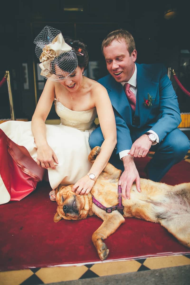 Why you should have your pets at weddings...