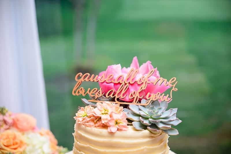 View More: https://benandsophiaphotography.pass.us/leannaandrobwedding