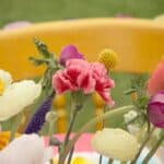The Online Wedding Show Presents Mr Magoriums Wedding Emporium - Mrmagoriumweddingemporium