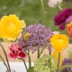 The Online Wedding Show Presents Mr Magoriums Wedding Emporium - Mrmagoriumweddingemporium