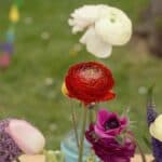 The Online Wedding Show Presents Mr Magoriums Wedding Emporium - Mrmagoriumweddingemporium