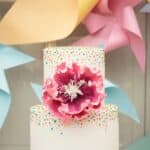 The Online Wedding Show Presents Mr Magoriums Wedding Emporium - Mrmagoriumweddingemporium