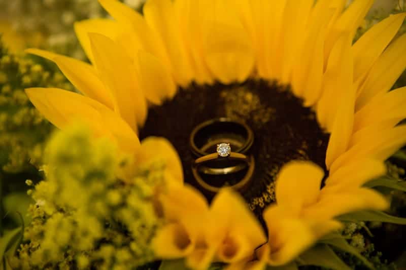 A DIY Rustic Sunflower Wedding (21)