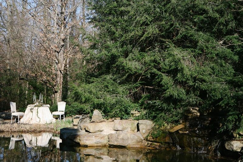 A Moody Woodland Styled Shoot A Moody Fall Woodland Styled Shoot (20)