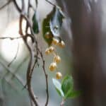 A Moody Woodland Styled Shoot - A Moody Fall Woodland Styled Shoot