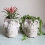 Etsy Favourites: A Spooky Halloween Special - Skull Planter