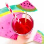 20 of our Favourite Wedding DIYs - Watermelon Drink Stirrer Diy