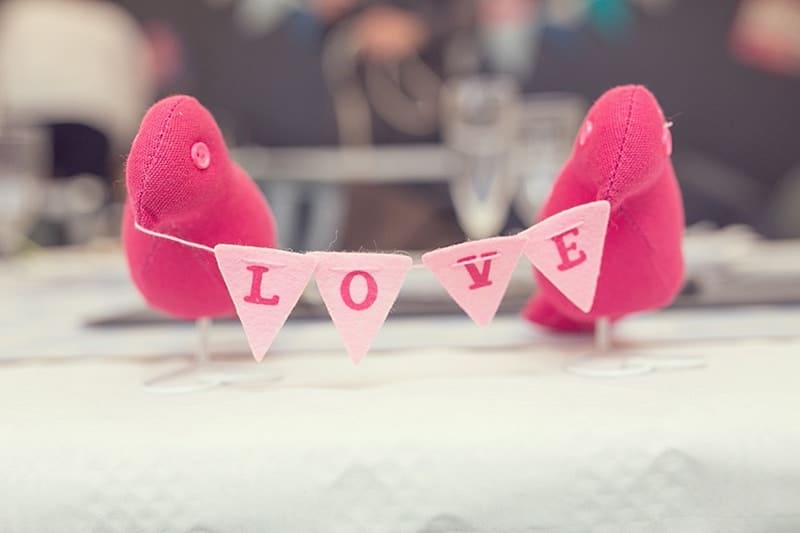 sunnyfields-farm-wedding-southampton-festival-north-east-wedding-photographer_0567