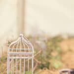 Sunnyfields Farm Wedding Southampton Festival North East Wedding Photographer