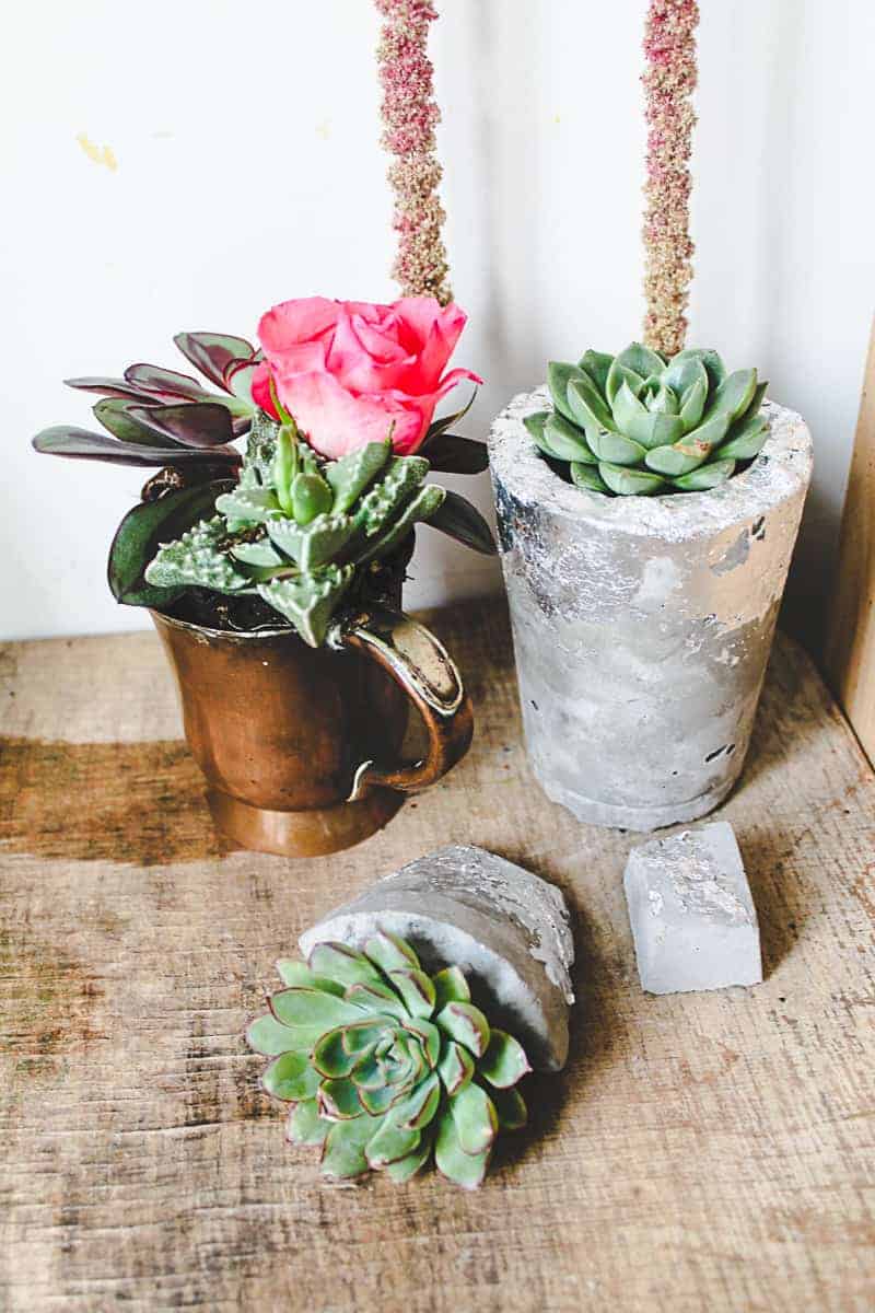 DIY Concrete Vase Silver Leaf Succulents-3