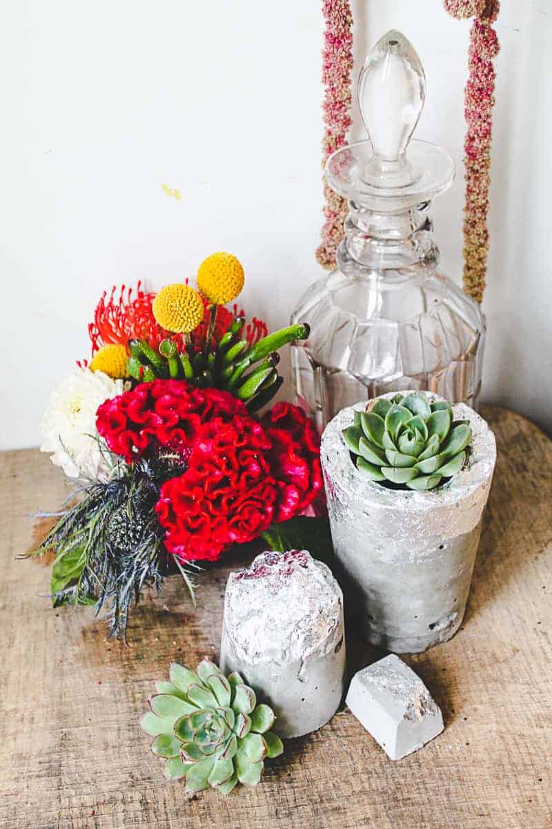 Vase en béton bricolage Succulentes à la feuille d'argent
