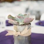 A Rustic & Natural Wedding Filled With Succulents - Succulent Laid Back Wedding