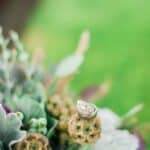A Rustic & Natural Wedding Filled With Succulents - Succulent Laid Back Wedding