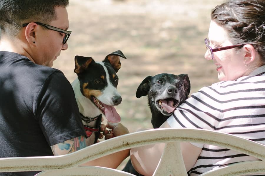 Quirky Engagement Shoot Librarian Fun Dogs Bike Ride 35