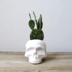 30 Gifts For The Quirky, Fun & Effortlessly Cool - Skull Planter