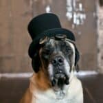 Let's Get Lost in Steampunk Style - Steampunk Wedding Inspiration Metals Bride Shoot