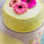 CLOSE KNIT FAMILY & FRIENDS MAKE THIS A WEDDING TO REMEMBER: JON & LAUREN - Close Knit Family Friend Diy Wedding Bride With Purple Petticoat