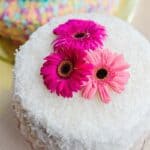 CLOSE KNIT FAMILY & FRIENDS MAKE THIS A WEDDING TO REMEMBER: JON & LAUREN - Close Knit Family Friend Diy Wedding Bride With Purple Petticoat