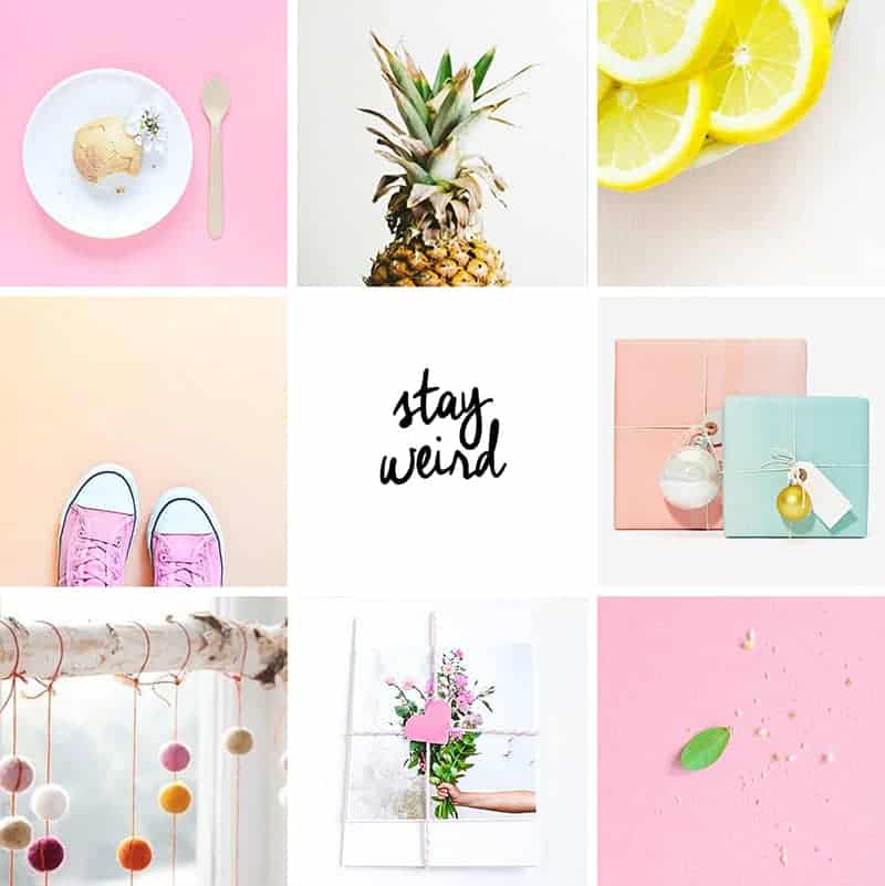 Passion Shake Colourful Instagram Account