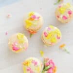 OFF THE RECORD: EASTER INDULGENCE - Edible Flower Macarons