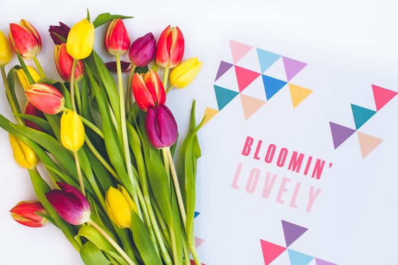 Free Printable Flower Wrapping Bloomin Lovely Wrap Geometric Tulips_-2