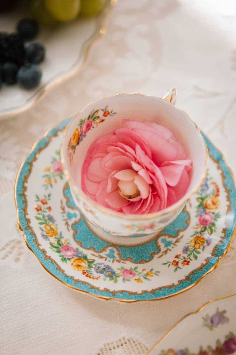 88-2015-07-11-574-XEdited150206FrenchBotanical181