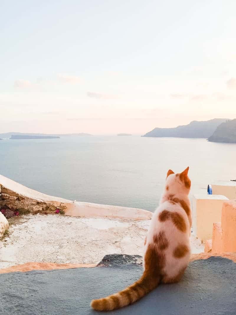 Santorini Oia Travel Guide Reccomendations Honeymoon Colourful Place Greece_-112